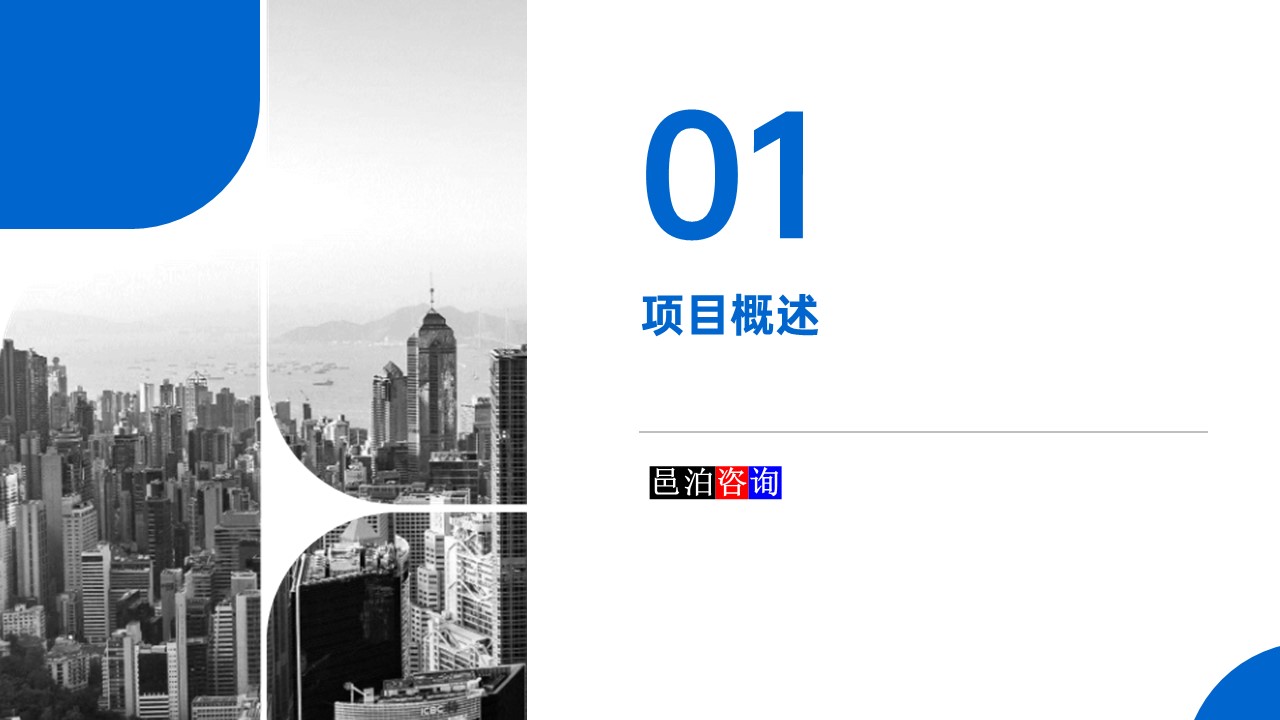 邑泊數字化智能化技術資金流動性管理互聯網在線服務平臺項目概述