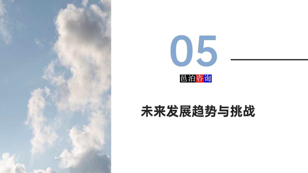 邑泊數字化智能化技術軟件定制與信息服務遠程外包商業模式分析未來發展趨勢與挑戰