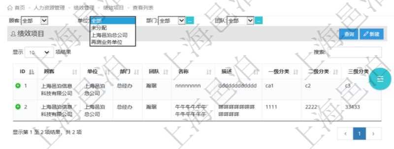 在項目管理軟件中,人力資源績效最多可分為3級分類管理,通過績效項目查詢頁面,用戶可以查到具體績效項目明細,比如:單位、部門、團隊、名稱、描述、一級分類、二級分類、三級分類等。