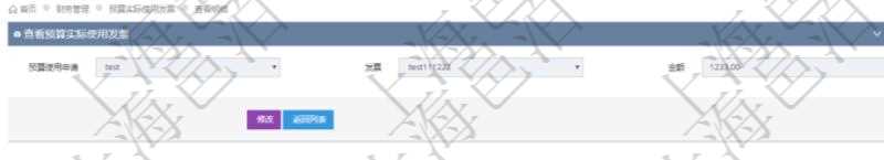 查詢項目管理軟件財務管理系統預算實際使用發票信息時返回:預算使用申請、發票信息及金額。